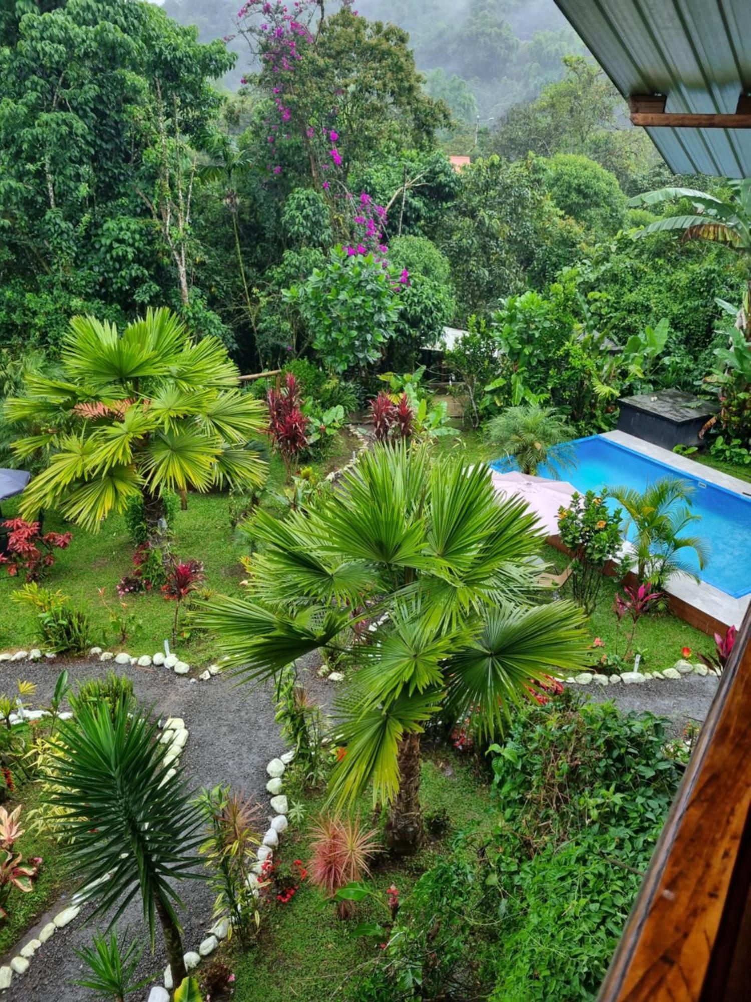 Mindo Green House Bagian luar foto