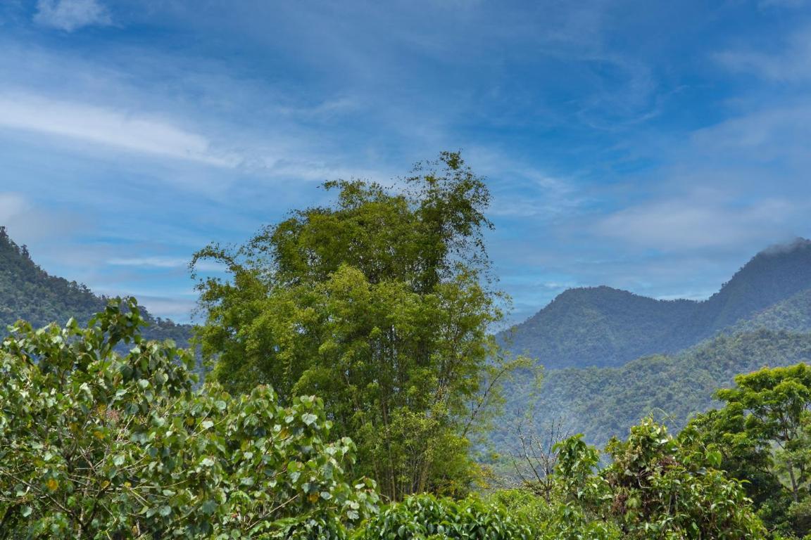 Mindo Green House Bagian luar foto
