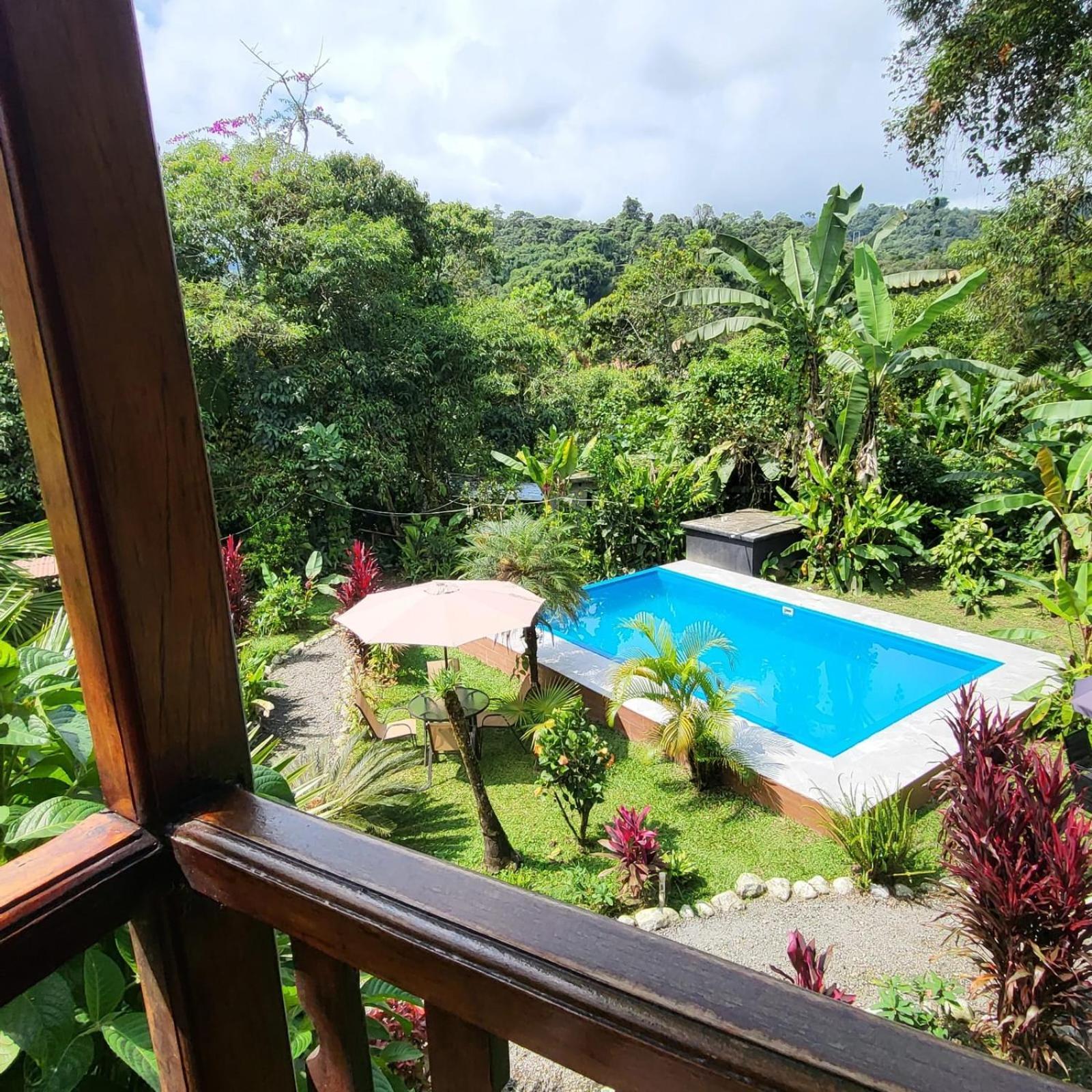 Mindo Green House Bagian luar foto